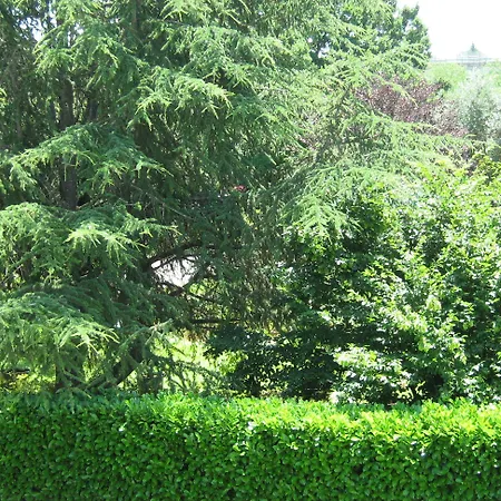 I Fiori Bed & Breakfast 3*