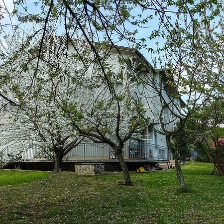 I Fiori San Giustino