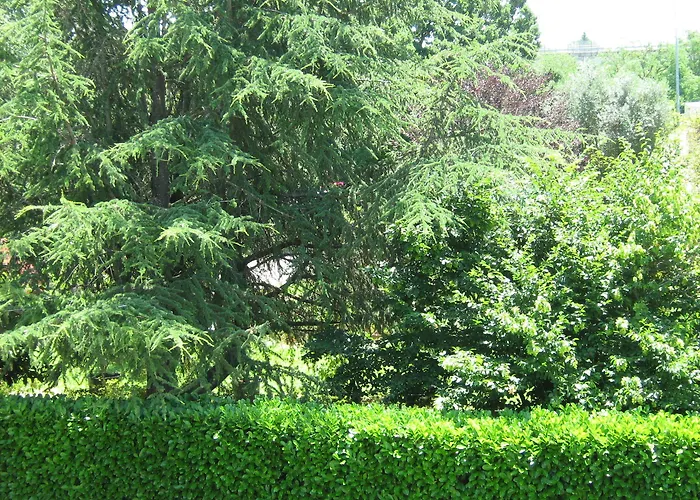 I Fiori Nocleg ze śniadaniem 3*